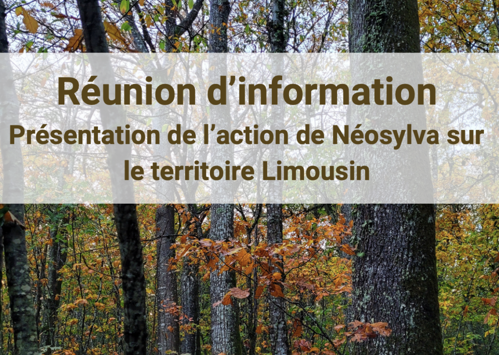 Réunion d'information Propriétaire de forêts privés