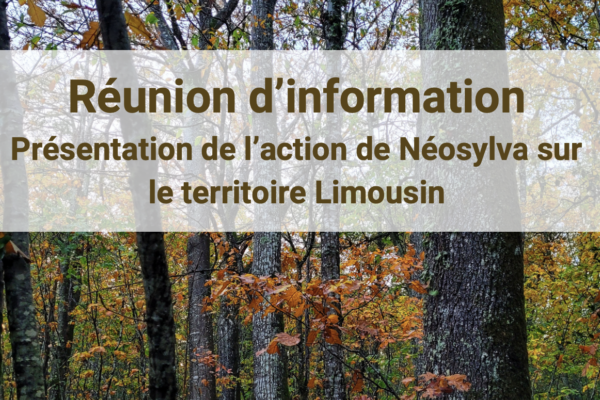 Réunion d'information Propriétaire de forêts privés